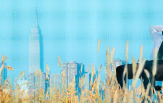 Vind jezelf opnieuw uit